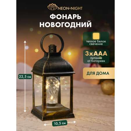 Фонарь-светильник NEON-NIGHT декоративный светодиодный с лампочкой и подвесом