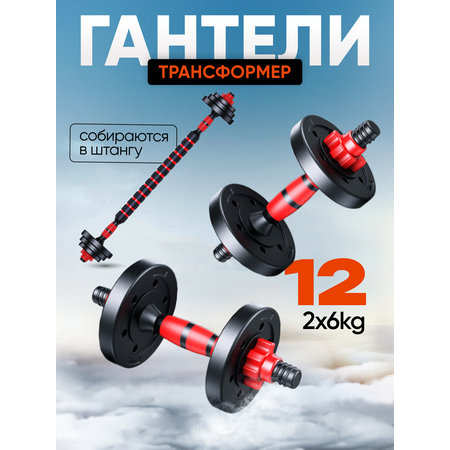 Набор блинов с грифом БлинДаГриф Гантель 6кг 2шт