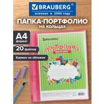 Папка для портфолио Brauberg 2 кольца 20 файлов