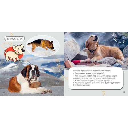 Книга ЭНАС-книга Какие бывают собаки?