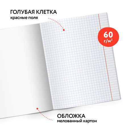 Тетрадь SCHOOLFORMAT клетка 12 лист. 20 шт.