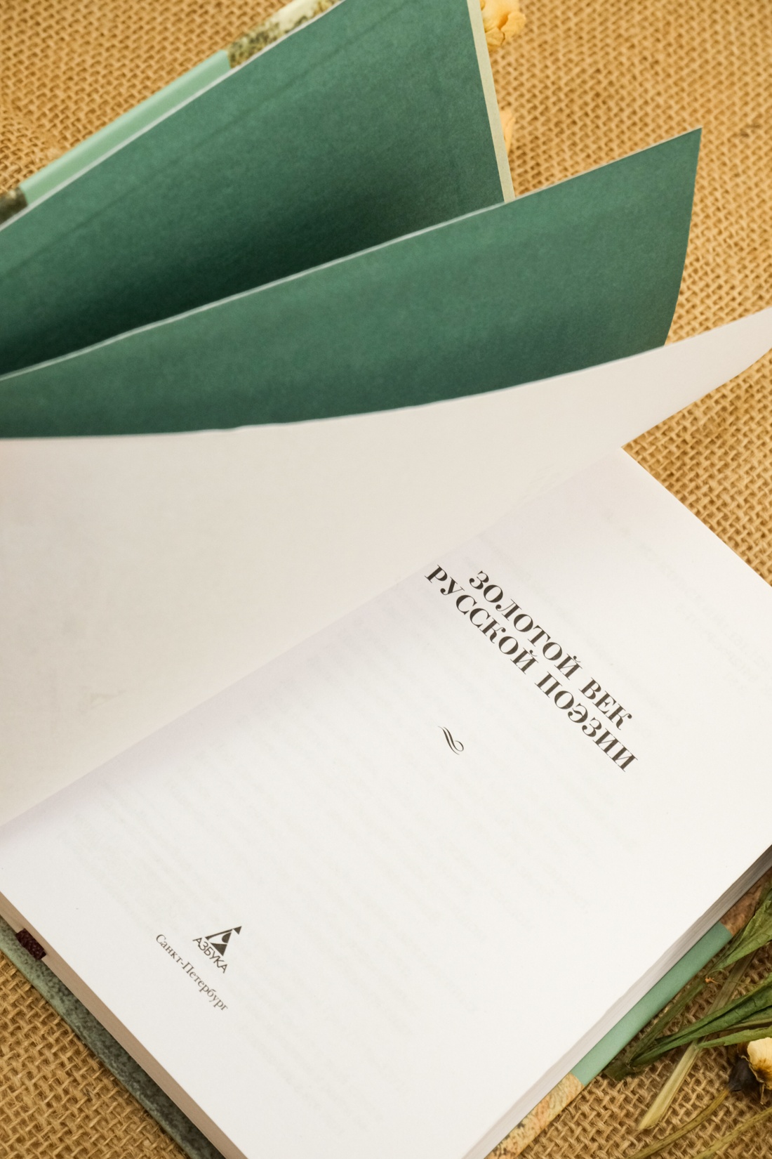 Книга АЗБУКА Азбука-поэзия/Пушкин А., Лермонтов М., Тютчев Ф./Золотой век русской поэзии - фото 9