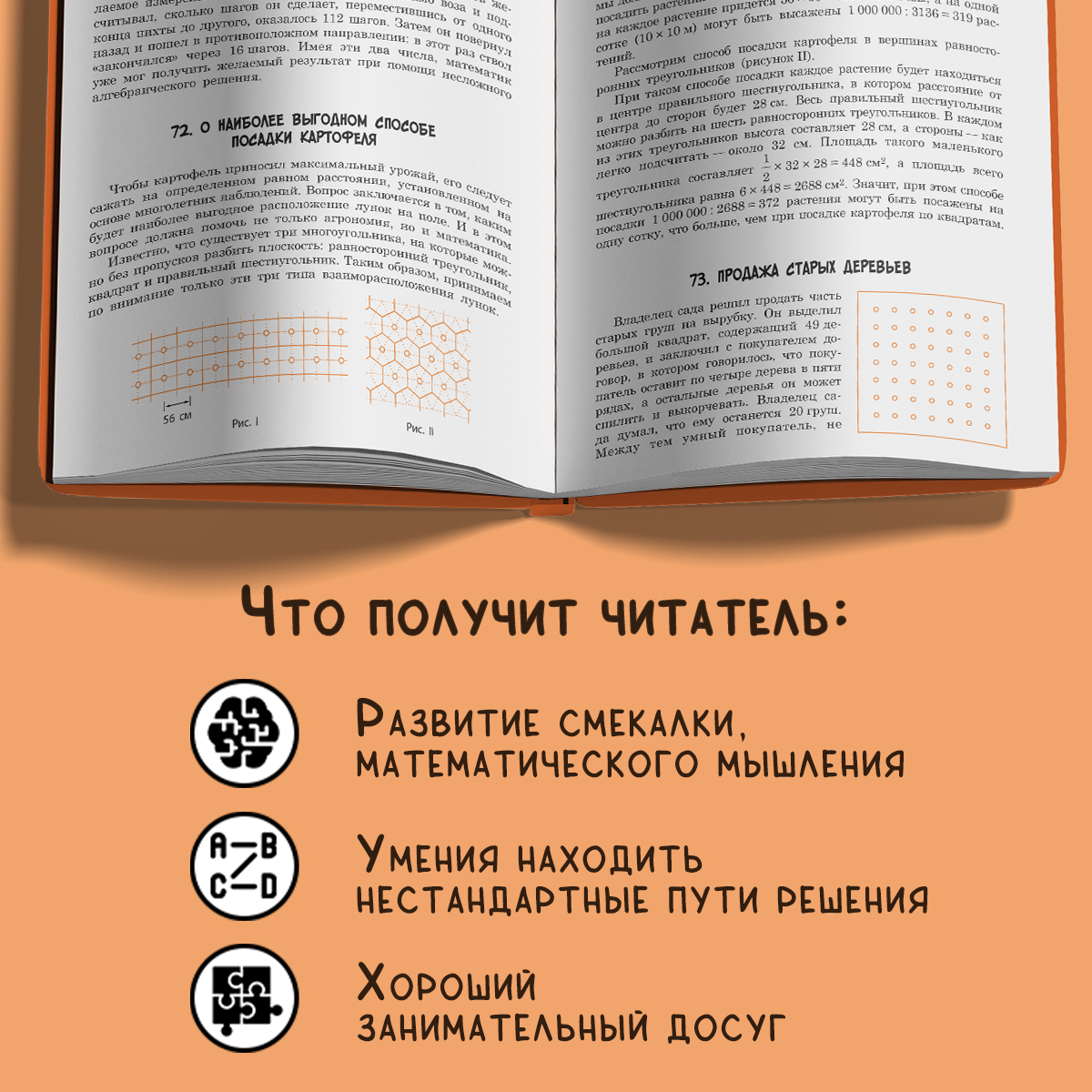 Книга Качели По следам Пифагора. Сто исторических головоломок - фото 3
