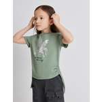 Футболка Acoola