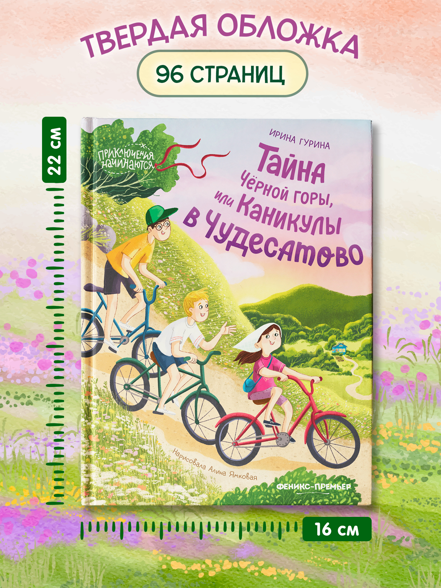 Книга Феникс Премьер Тайна Черной горы или Каникулы в Чудесатово - фото 9