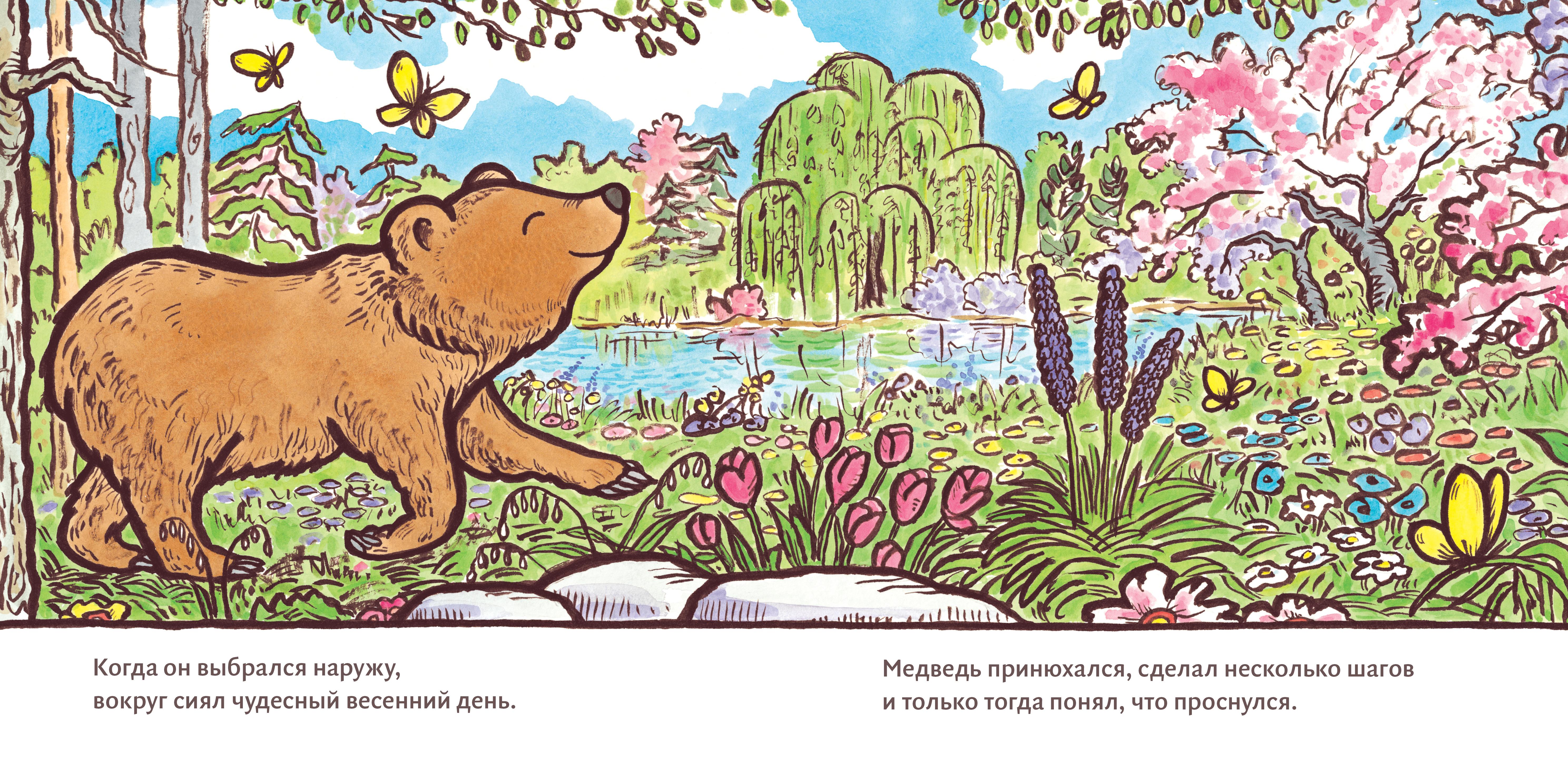 Книга Волчок Большой медведь - фото 2