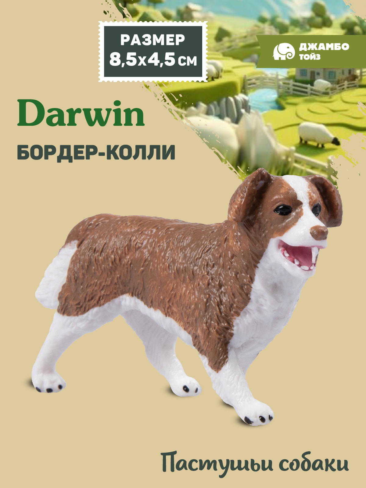 Фигурка DARWIN Собака Бордер-колли - фото 1