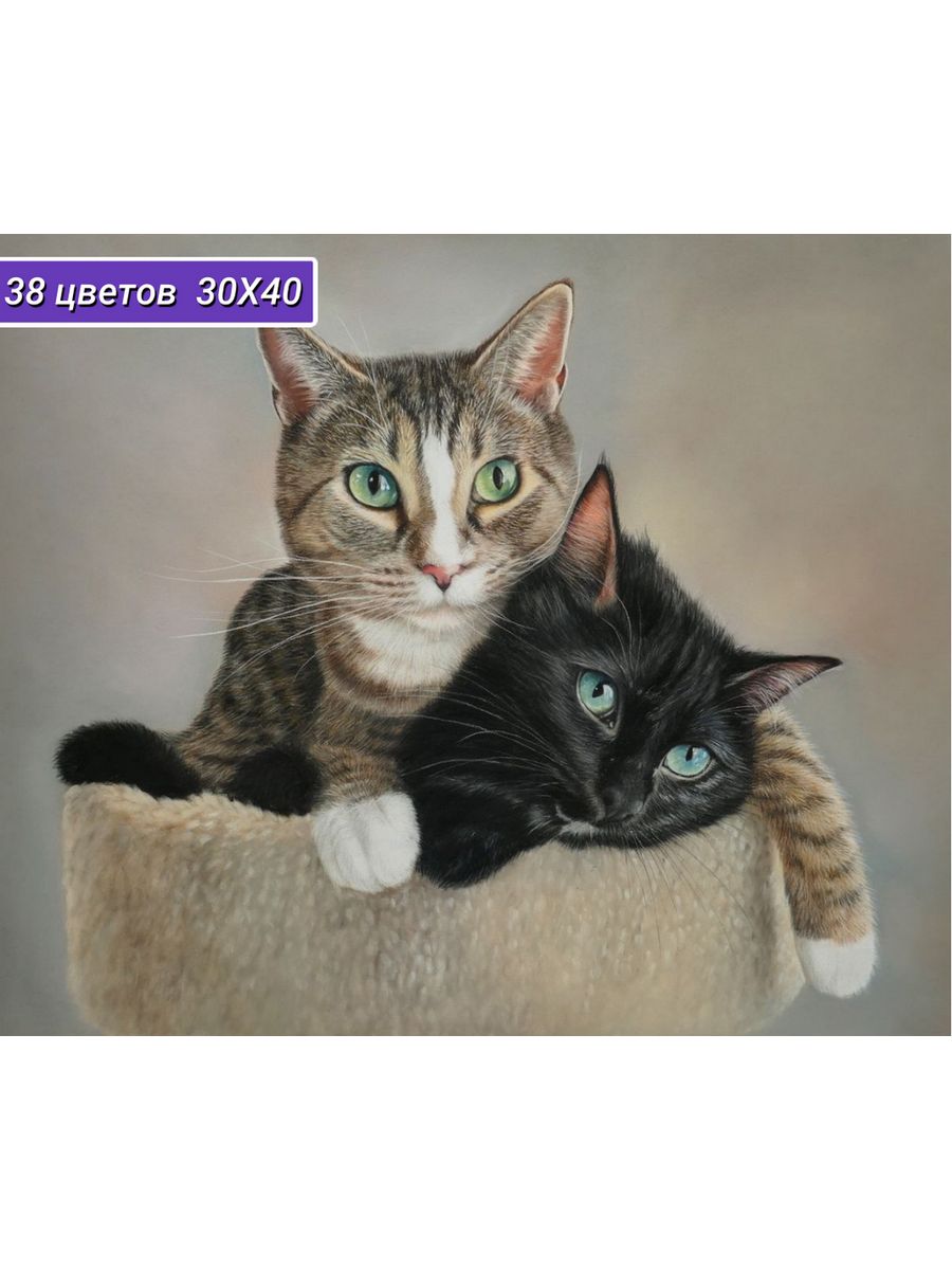 Алмазная мозаика Cristyle Котики Мимо и Кирри - фото 1