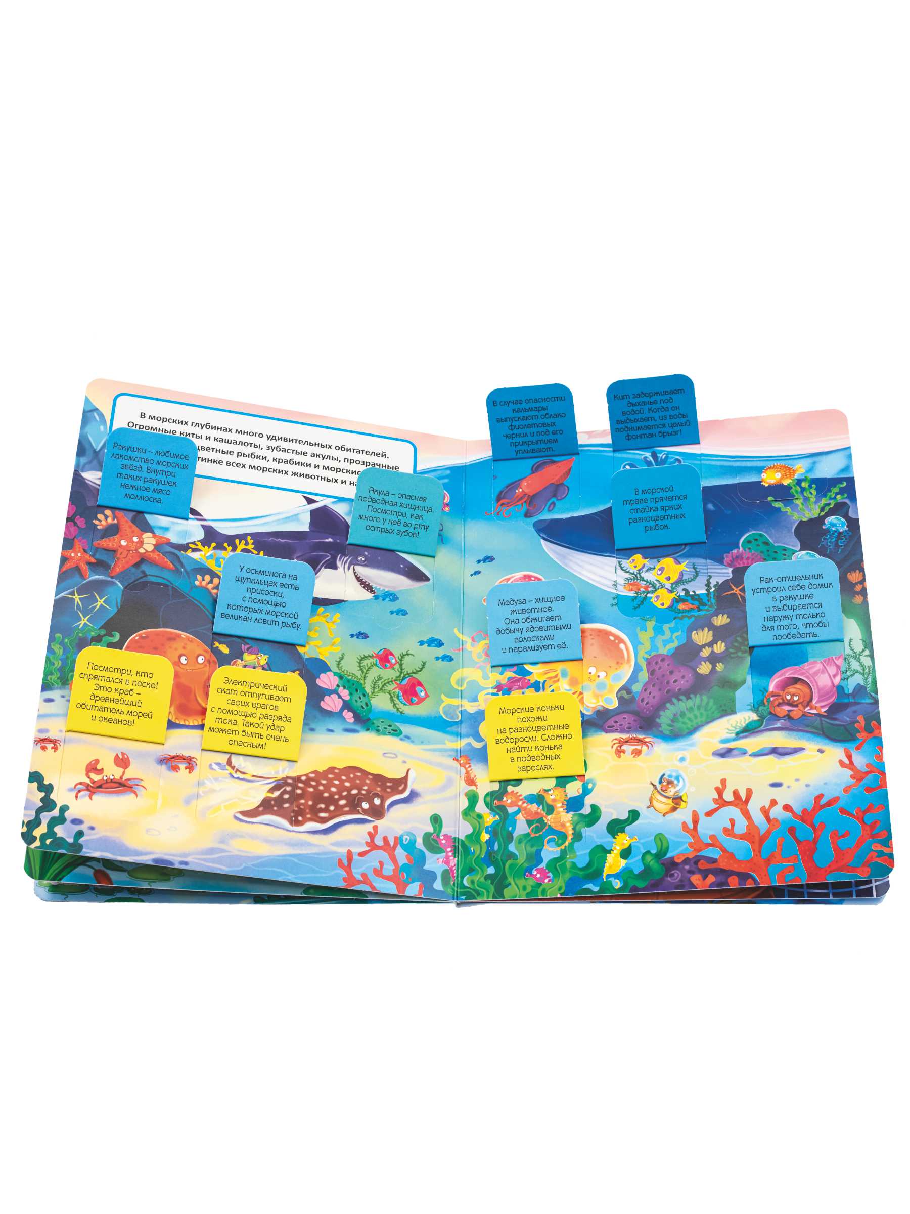 Книжка BimBiMon с окошками Эти забавные животные - фото 11