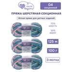 Пряжа для вязания Люблю Вязать Шерстяная секционная 100 г 125 м 3 шт