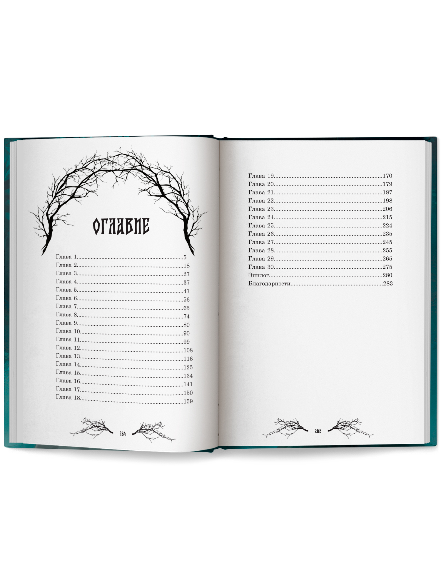 Ведьмино зеркальце Феникс Книга - фото 13