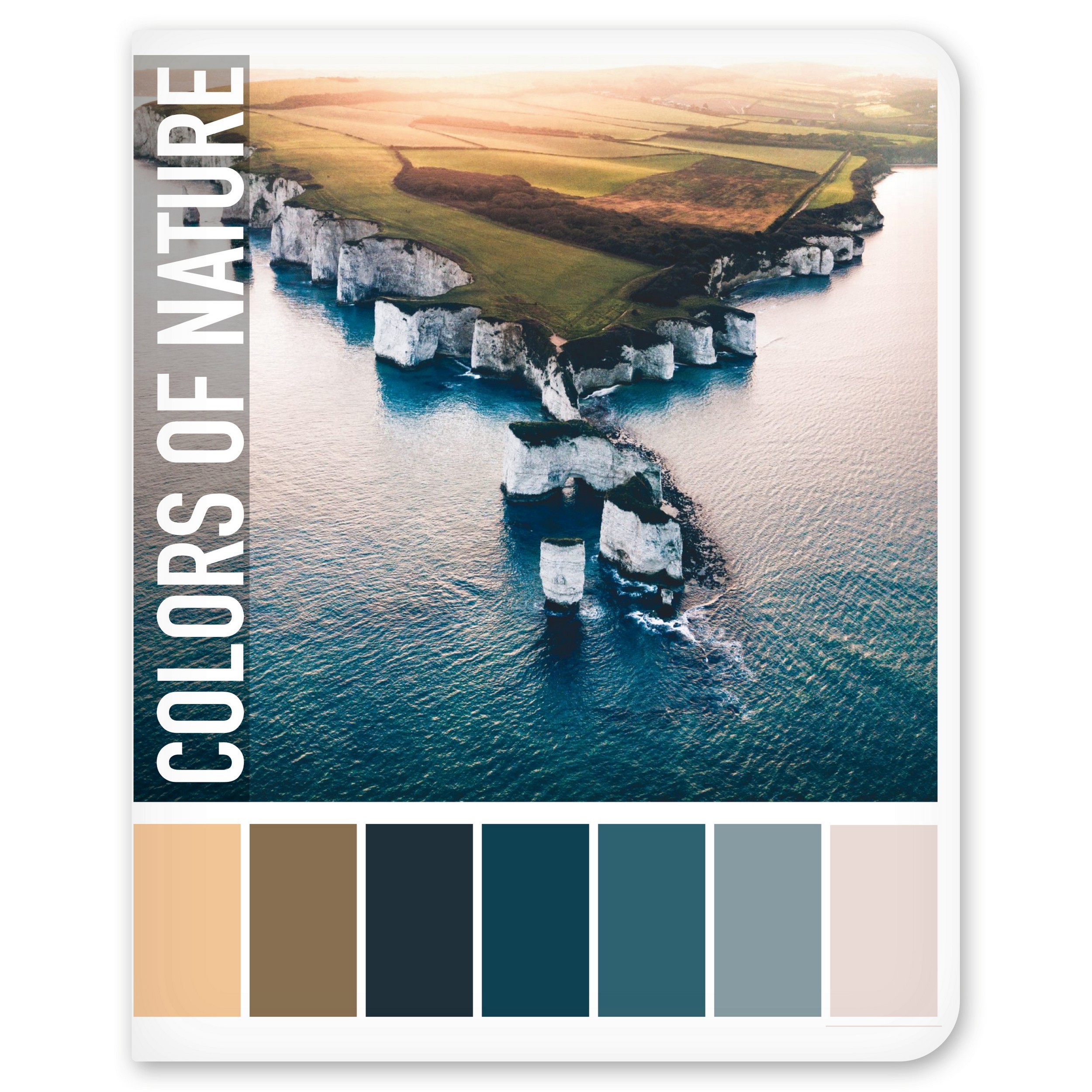 Общая тетрадь Полиграф Принт клетка 48 лист. в ассортименте - фото 4