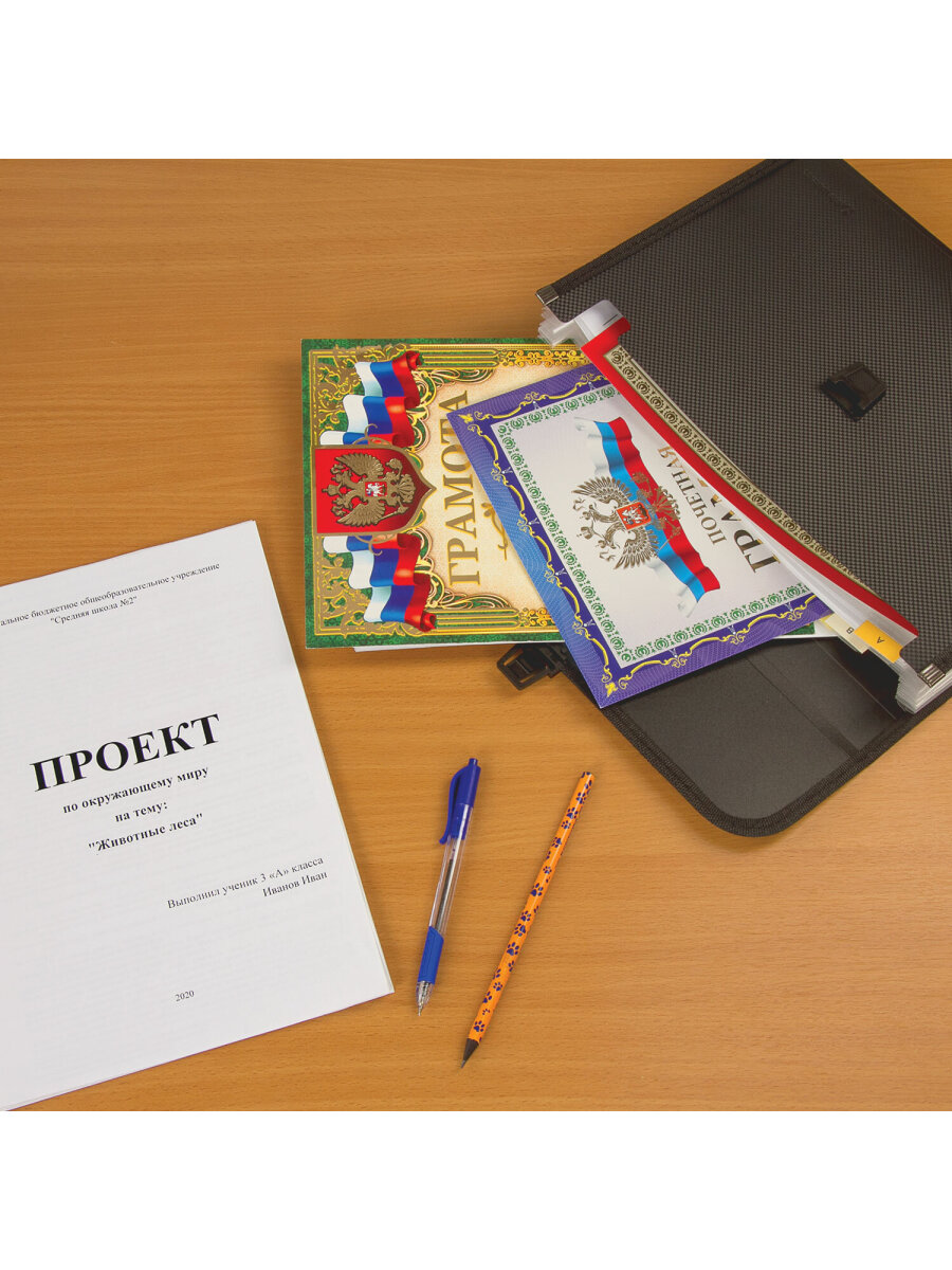 Папка для тетрадей Brauberg А4 - фото 15