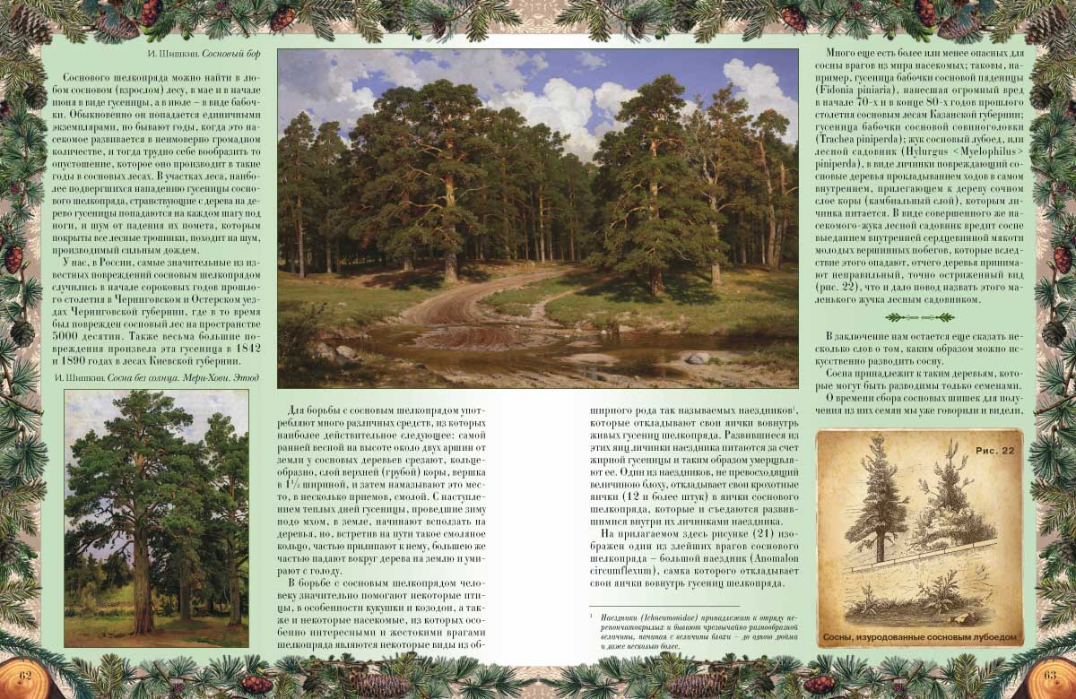 Книга Белый город Беседы о русском лесе - фото 3