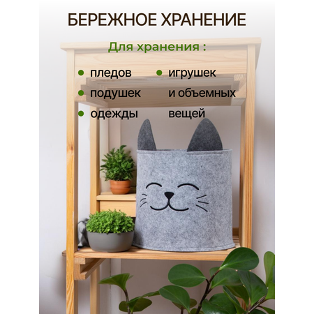 Органайзер для хранения Eva Котик 24х24х22 см 8 л