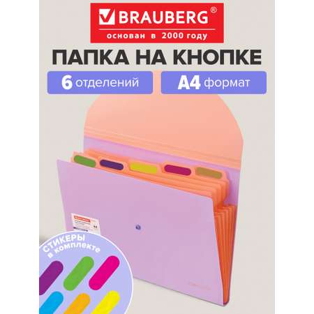 Папка-органайзер Brauberg лиловая с персиковым А4