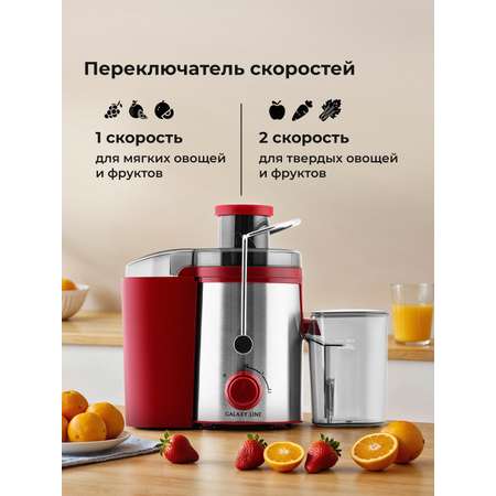 Соковыжималка Galaxy LINE GL0816 Божоле