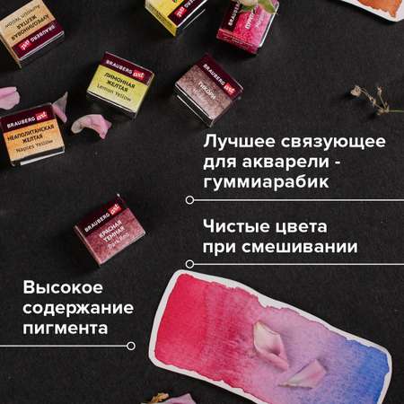 Краски акварель Brauberg
