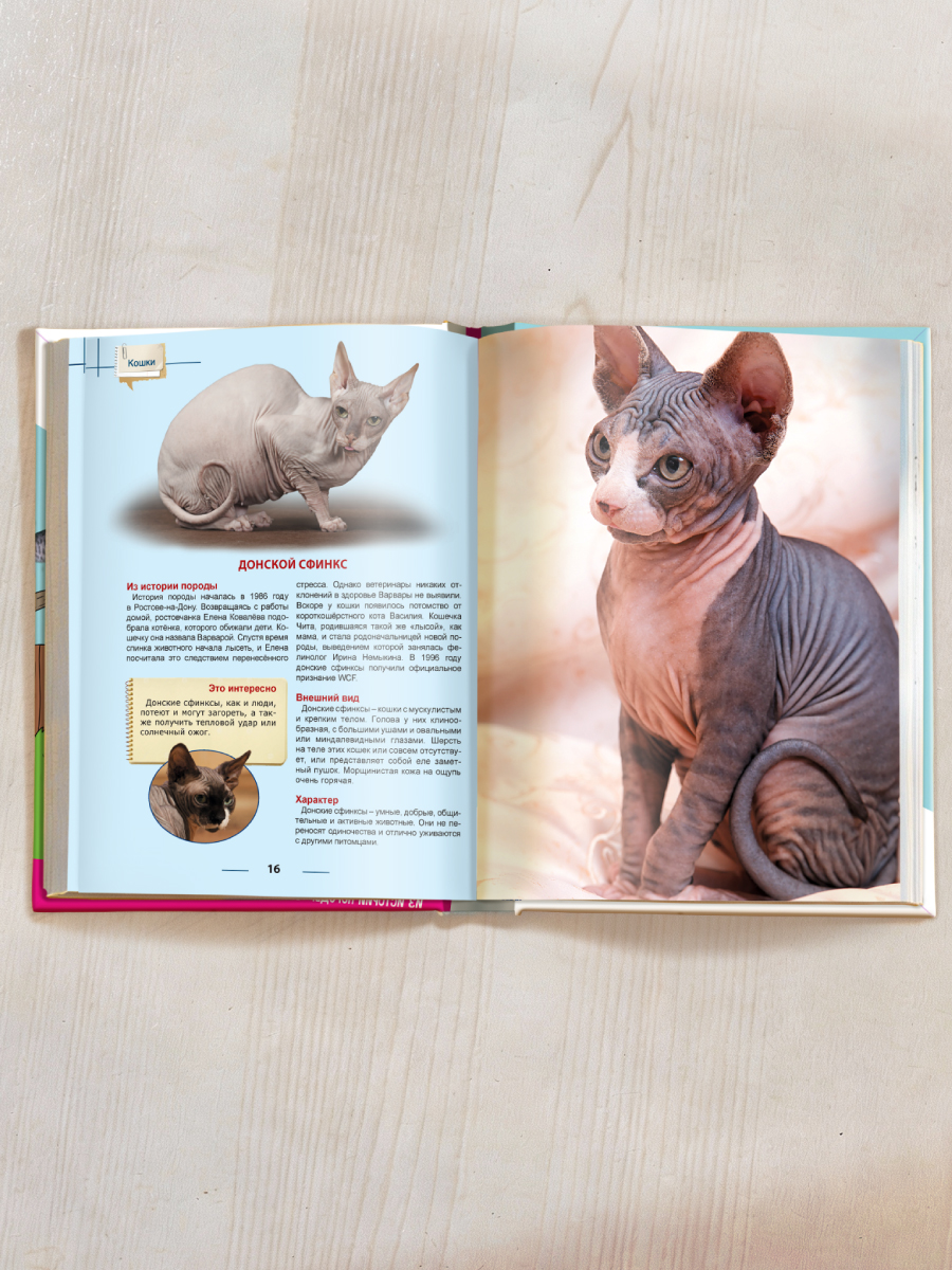 Книга Проф-Пресс Энциклопедия для детей. Кошки - фото 7