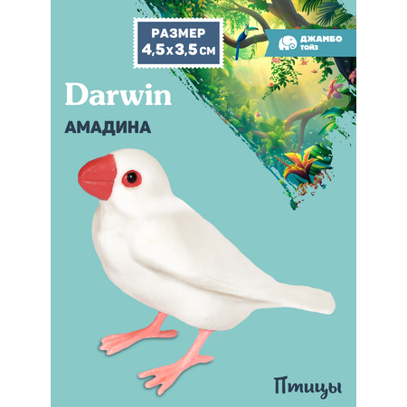 Фигурка DARWIN Птицы Амадина