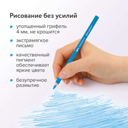 Карандаши акварельные Brauberg 12 шт.