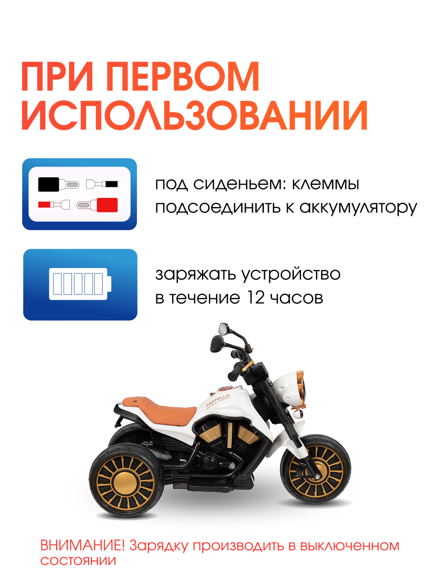 Электромотоцикл Farfello TR703 - фото 6