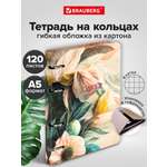 Тетрадь Brauberg клетка