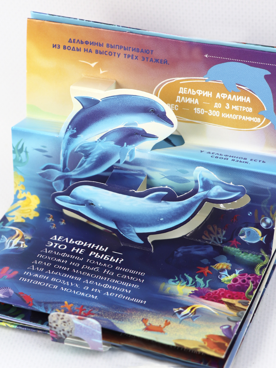 Набор книг Malamalama Коллекция карманных объемных энциклопедий о животных в сундучке - фото 15