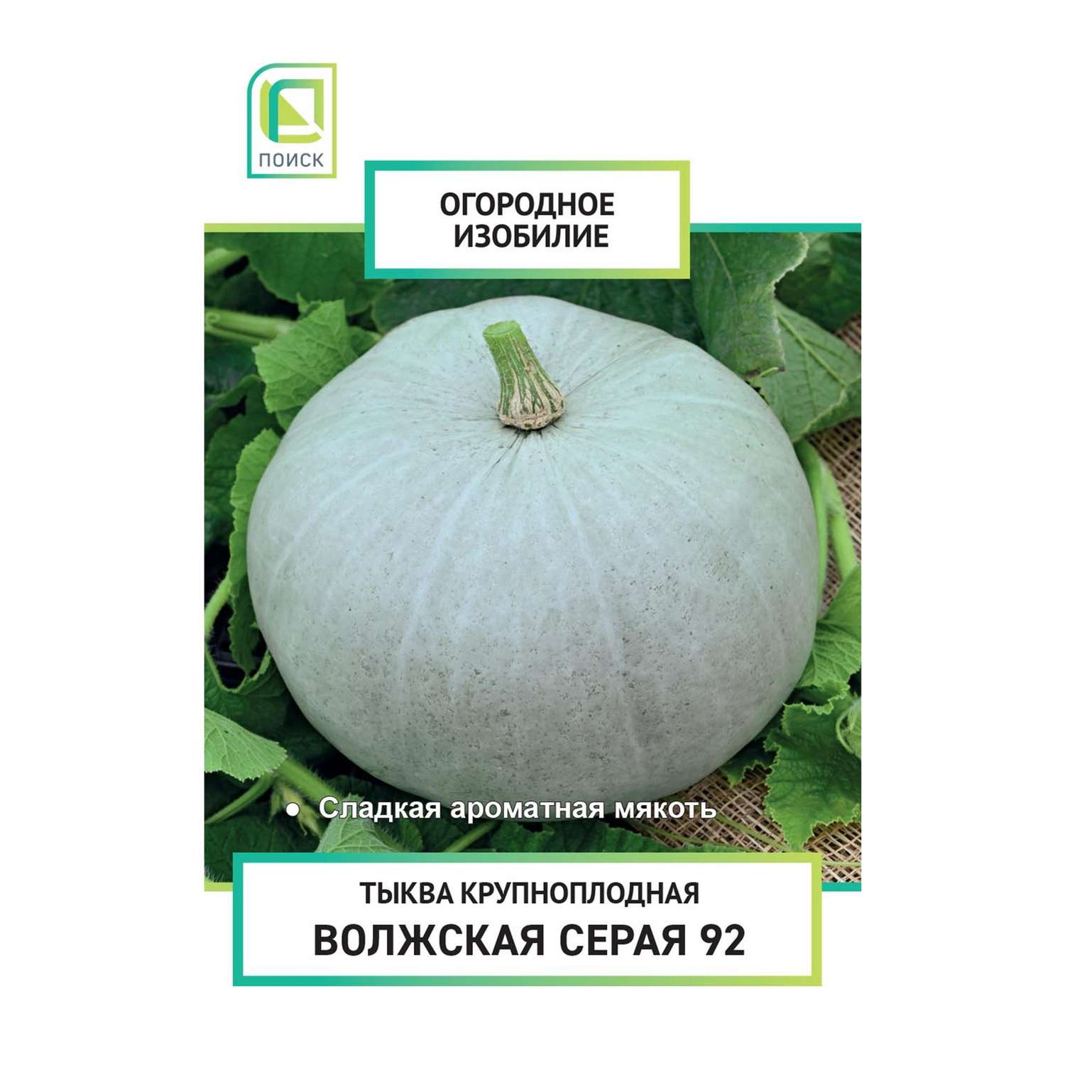 Тыква . крупноплодная Волжская серая 92 2г - фото 2