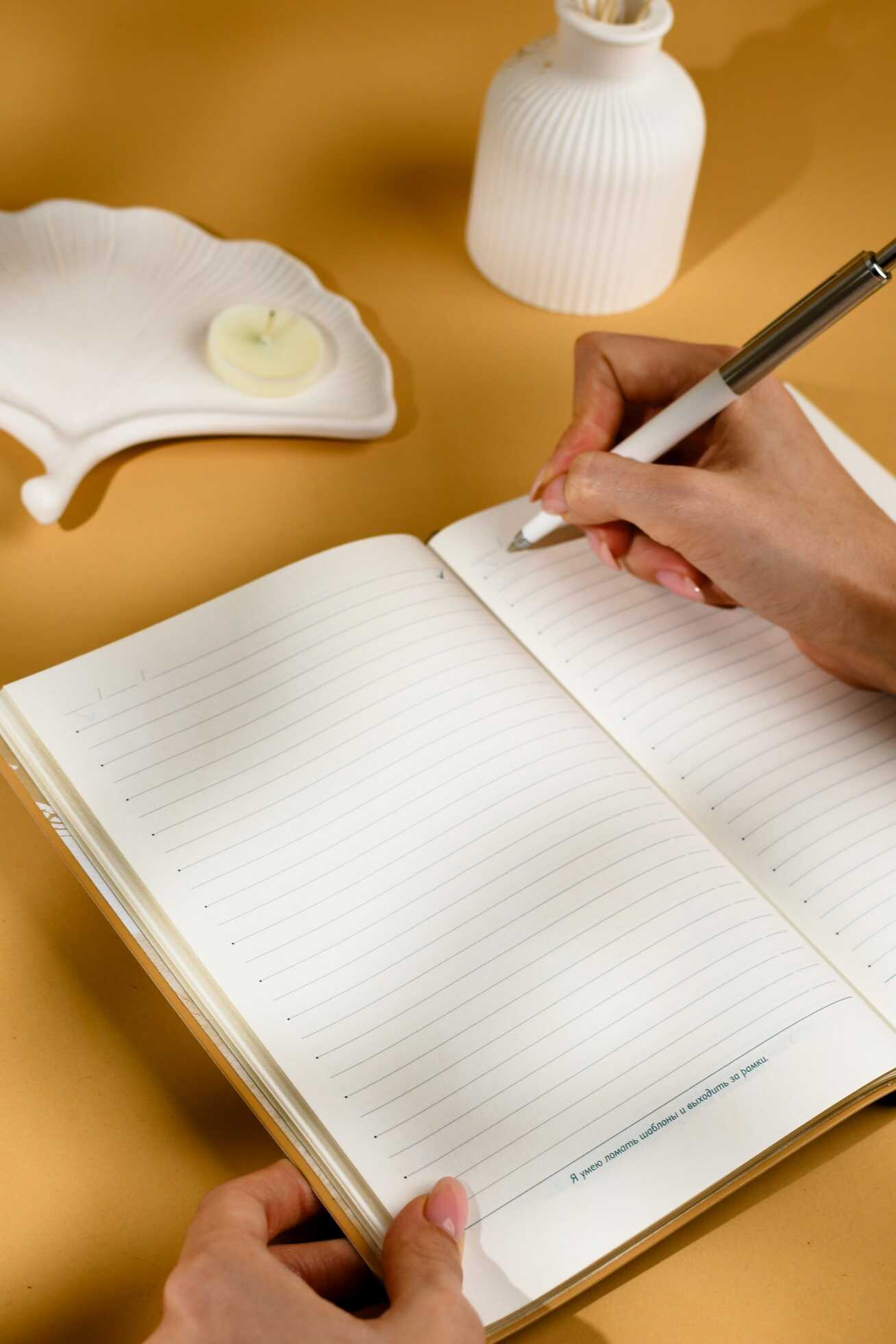 Ежедневник Феникс + ESCALADA 160 лист. - фото 12