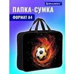 Папка для тетрадей Brauberg А4