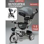 Трехколесный велосипед DinaMiX 10 дюймов