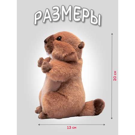 Игрушка мягкая Trudi Сурок 20см