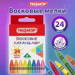 Восковые мелки Пифагор 24 шт.