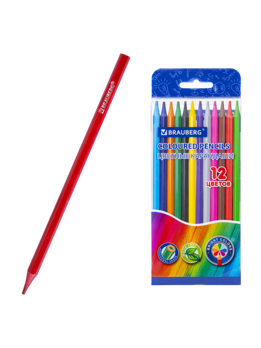 Карандаши цветные Brauberg 12 шт. - фото 2