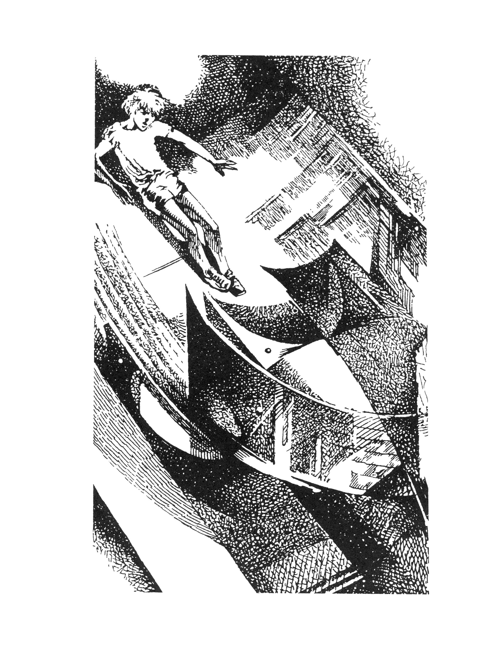 Книга Стрекозa Крик петуха - фото 4