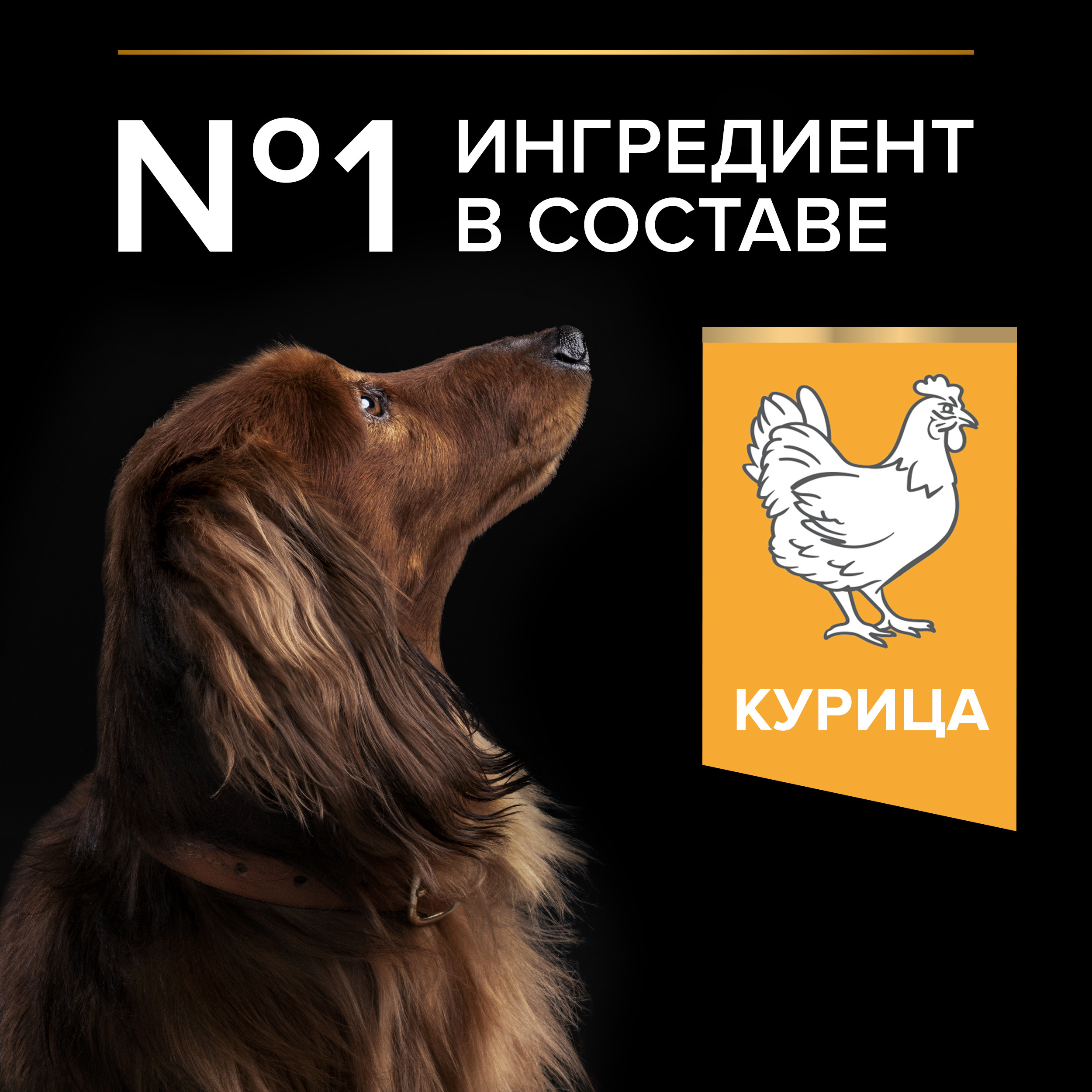 Корм для собак PRO PLAN мелких и миниатюрных пород с комплексом Optibalance с высоким содержанием курицы 3кг - фото 9
