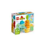 Конструктор LEGO DUPLO 67 дет.