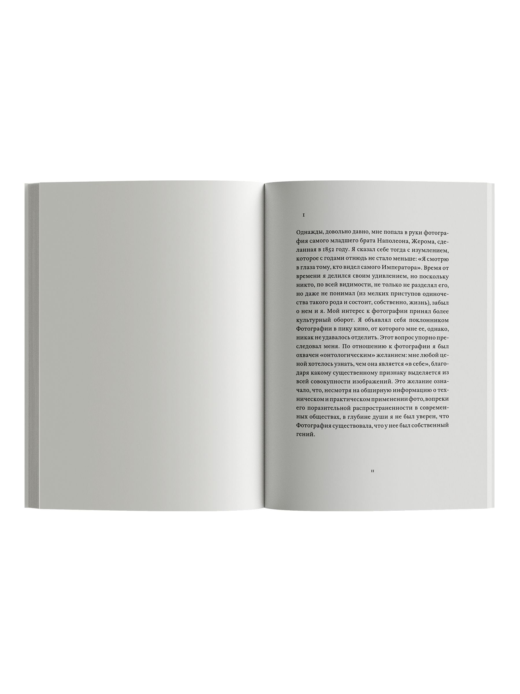 Книга Ad Marginem Camera lucida Комментарий к фотографии - фото 4