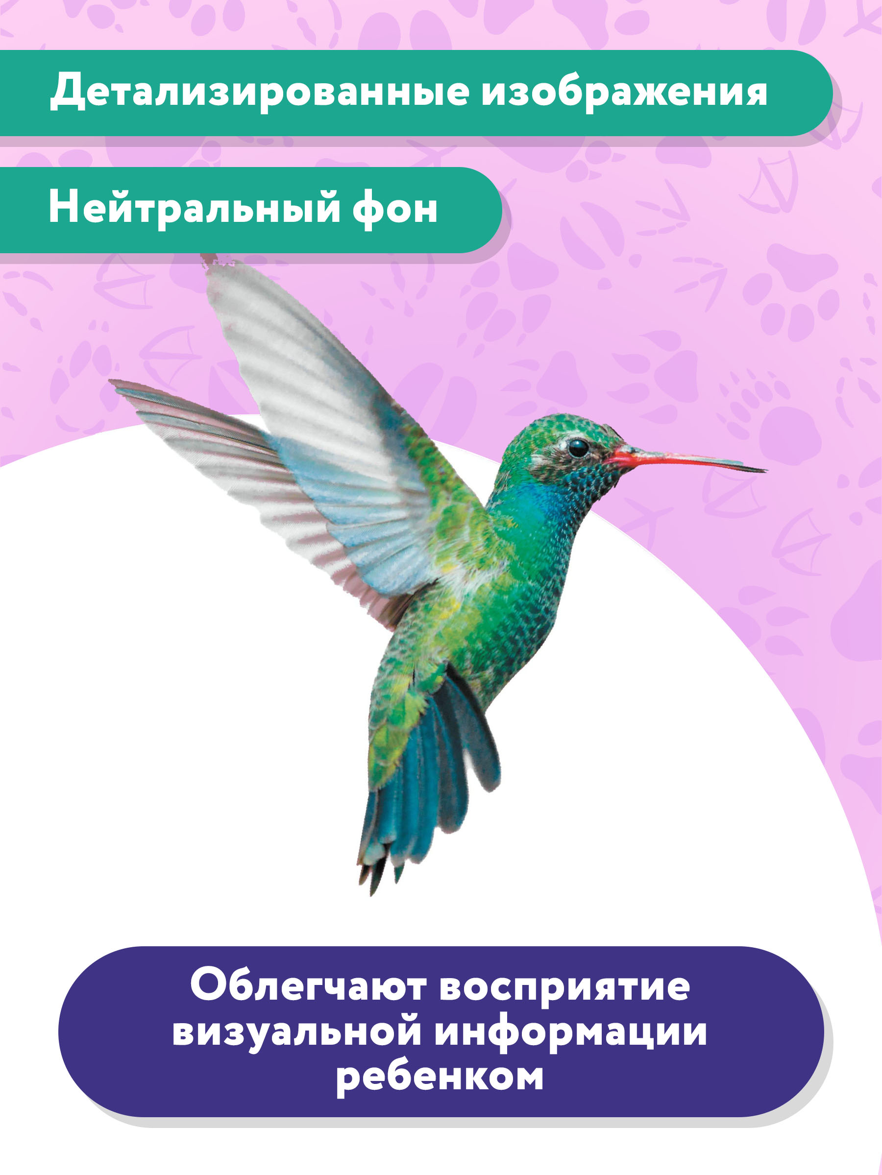 Книга Феникс Премьер Птицы. Фотоброшюра 0+ - фото 4