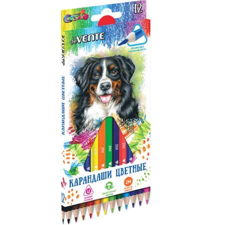 Карандаши цветные deVENTE 12 шт.