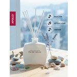 Ароматический диффузор APOLLO океан 100 мл