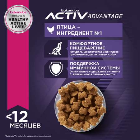 Корм Eukanuba Dog 2кг для щенков миниатюрных пород сухой