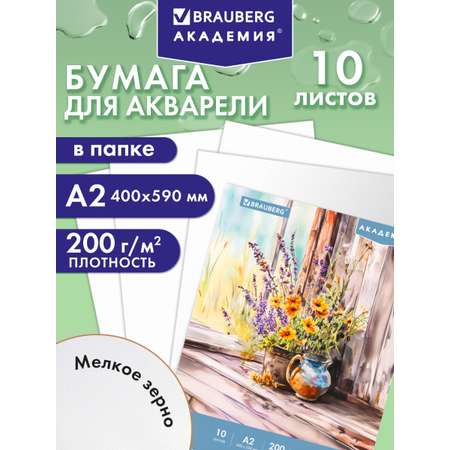 Художественная бумага Brauberg 10 лист.