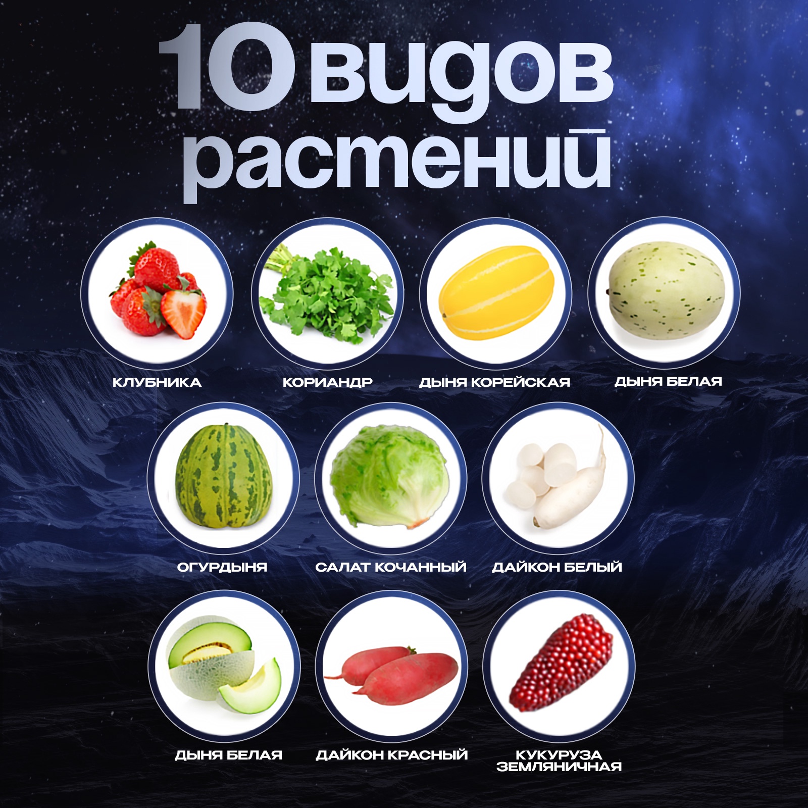 Набор для выращивания Эврики Мини-ферма в Космосе - фото 13