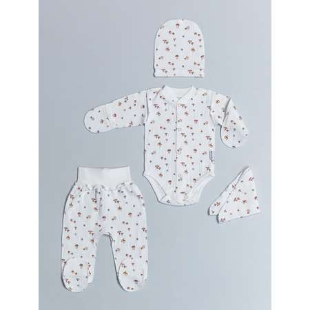 Комплект Amelli