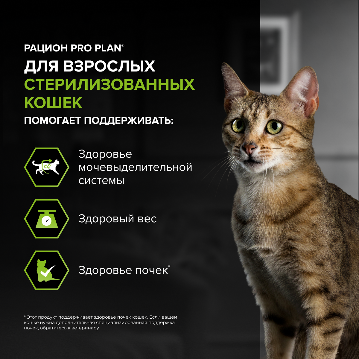 Корм для кошек сухой PRO PLAN Sterilised Adult Renal Plus для взрослых стерилизованных кошек с лососем - фото 4
