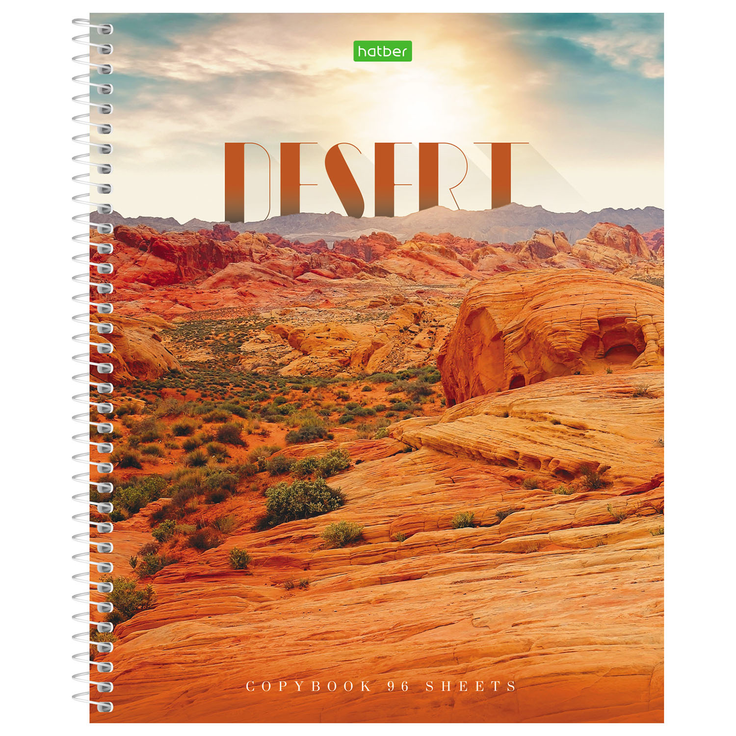 Общая тетрадь Hatber клетка 96 лист. в ассортименте - фото 2