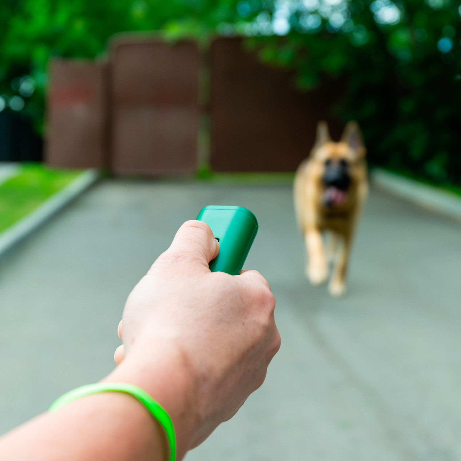 Прибор для отпугивания REXANT собак с ультразвуком и 3 режимами - фото 5