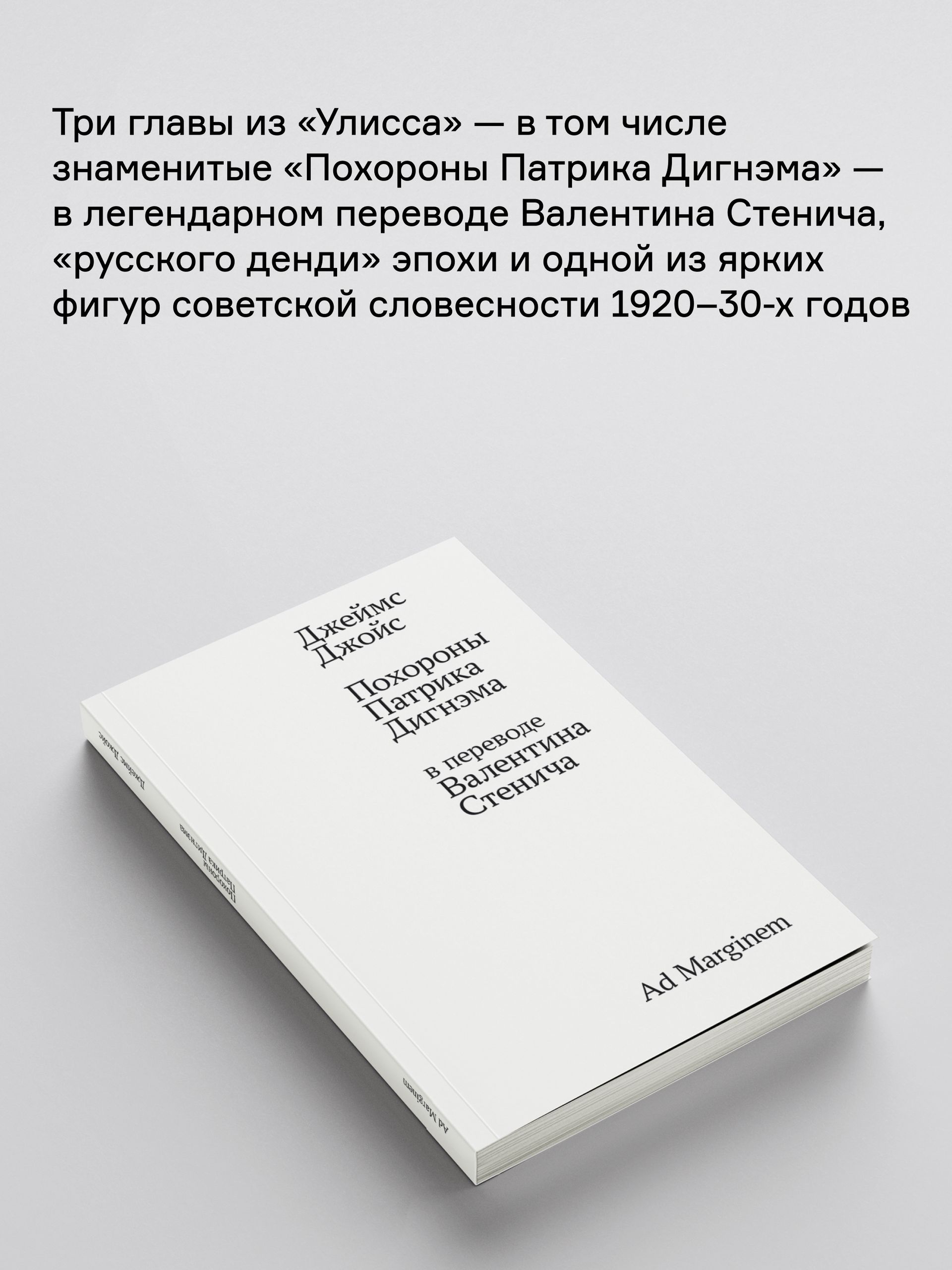 Книга Ad Marginem Похороны Патрика Дигнэма - фото 4